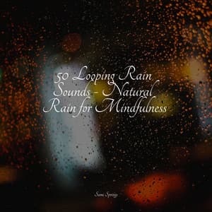50 Looping Rain Sounds - Natural Rain for Mindfulness - Deep Sleep Systems