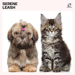 Serene Leash: Calming Music for Pets - Relax My Pet