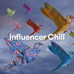 Influencer Chill - New Age Anti Stress Universe