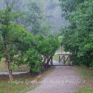 Pacifying Rain Music for Mental Wellness Vol. 2 - The Spa Music Legends