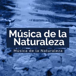 Calm Rain Bliss - Música de la Naturaleza