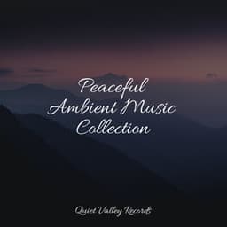 Peaceful Ambient Music Collection - Best Kids Songs