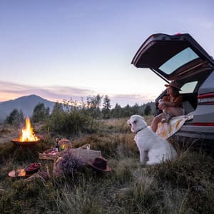 Fireside Dog Bonding: Binaural Tones for Loyal Companions - Sonic Whales