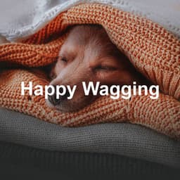 Happy Wagging - Dog Music Collective