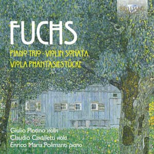 Fuchs: Piano Trio, Violin Sonata, Viola Phantasiestücke - Robert Fuchs