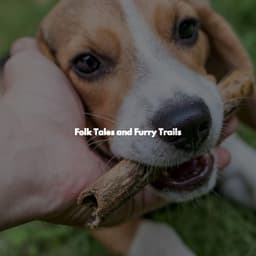 Folk Tales and Furry Trails - Thursday Morning Jazz Playlist