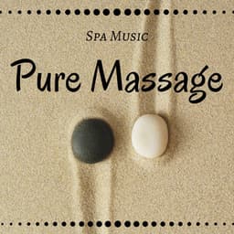 Pure Massage: Spa Music, Calmness & Serenity, Tranquil Time - Asian Silence Duo