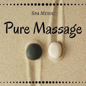 Pure Massage: Spa Music, Calmness & Serenity, Tranquil Time - Asian Silence Duo