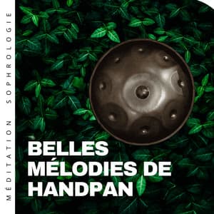 Belles mélodies de handpan - Méditation Sophrologie
