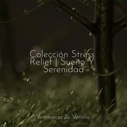 Colección Stress Relief | Sueño Y Serenidad - Música para Correr
