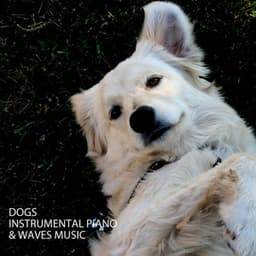 Dogs: Instrumental Piano & Waves Music - The Solfeggio Peace Orchestra