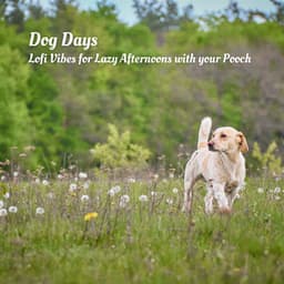 Dog Days: Lofi Vibes for Lazy Afternoons with your Pooch - lofi.sad