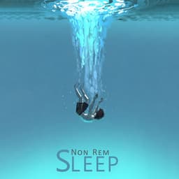 Non Rem Moon Descent - May Padma