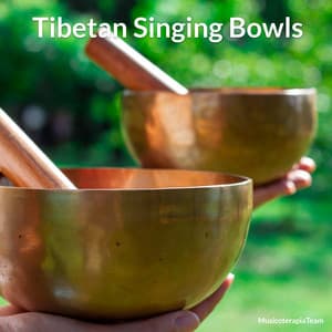 Tibetan Singing Bowls - MusicoterapiaTeam