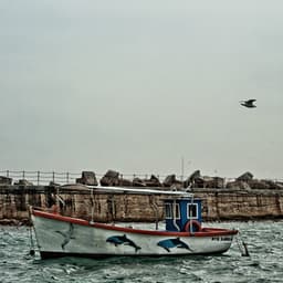 Jazz auf gleich - elo