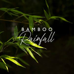 Bamboo Rainfall: Zen Relaxing Meditation in Japan - Zen Spa Zen Relaxation Zen Massage