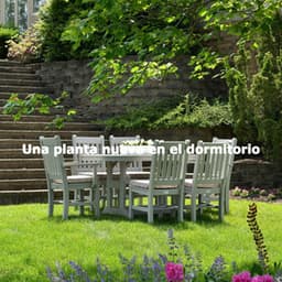 Una planta nueva en el dormitorio - Jazz Ambiente