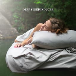 Deep Sleep Inducer: Calm Ambience, Healing Music to Sleep, Night Treatment - Insomnia Cure Music Society