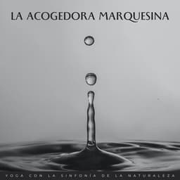 La Acogedora Marquesina: Yoga Con La Sinfonía De La Naturaleza - Naturaleza FX