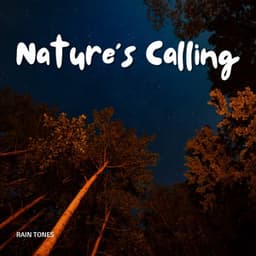 Rain Tones: Nature's Calling - Nature Field Recordings