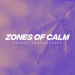Zones of Calm - Forest Soundscapes