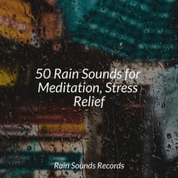 50 Rain Sounds for Meditation, Stress Relief - Deep Sleep Relaxation