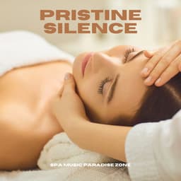 Pristine Silence: Relaxation Music - Spa Music Paradise Zone