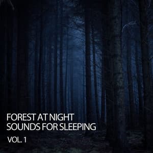Forest At Night: Sounds For Sleeping Vol. 1 - Forest Rain FX