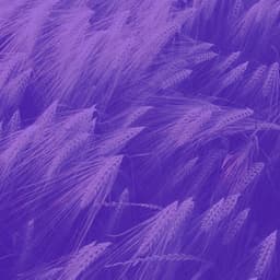 Music for Devoted Inspiration - No Drums Jazz - Easy Listening Soft Jazz