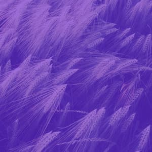 Music for Devoted Inspiration - No Drums Jazz - Easy Listening Soft Jazz