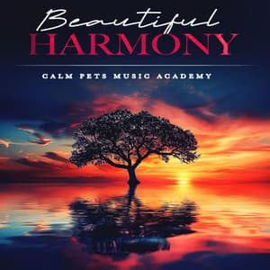 Beautiful Harmony - Calm Pets Music Academy