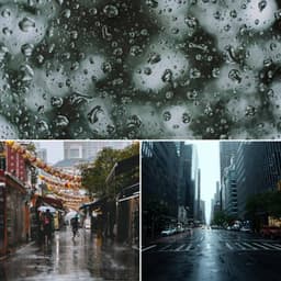 Echoes of Chill Tuesday - Easy Listening Afternoon Music