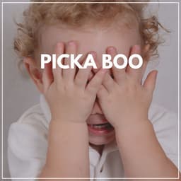 Picka Boo - Kids Music