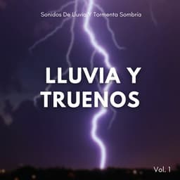 Sonidos De Lluvia Y Tormenta Sombría Vol. 1 - Sonidos de tormenta de lluvia