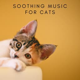 Soothing Music For Cats - Relaxing Piano For Pets