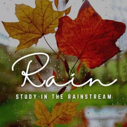 Calm Knowledge: Rain's Mindful Flow - Calm Rain Sounds