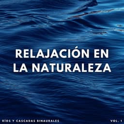 Relajación En La Naturaleza: Ríos Y Cascadas Binaurales - Estados de ánimo y sonidos de agua