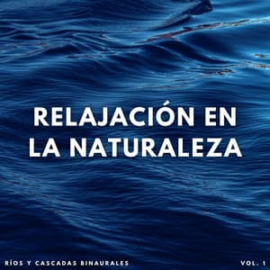 Relajación En La Naturaleza: Ríos Y Cascadas Binaurales - Estados de ánimo y sonidos de agua