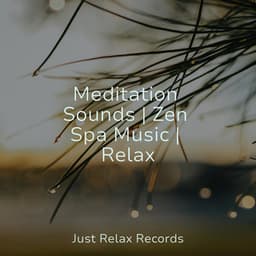 Meditation Sounds | Zen Spa Music | Relax - Lucid Dreaming World-Collective Unconscious Mind