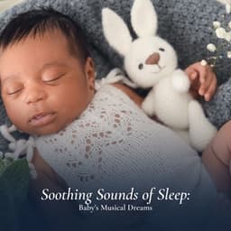 Soothing Sounds of Sleep: Baby's Musical Dreams - Lullaby World