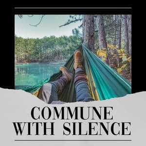 Commune with Silence - The Solfeggio Peace Orchestra