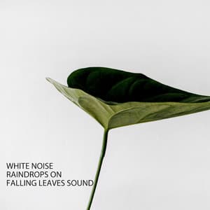 White Noise: Raindrops On Falling Leaves Sound - Dreamy White Noise