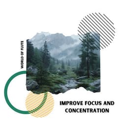 Improve Focus and Concentration - World of Flute
