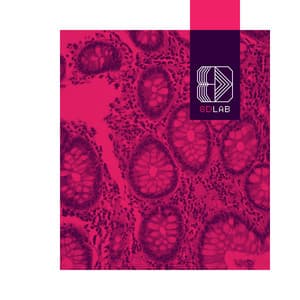 Sonidos Tranquilos - 8D Lab - Música Relajante