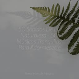 50 Sonidos De La Naturaleza - 50 Músicas Tranquilas Para Adormecerte - Relaxing Spa Music