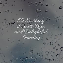 50 Soothing Sounds: Rain and Delightful Serenity - Natural Sample Makers