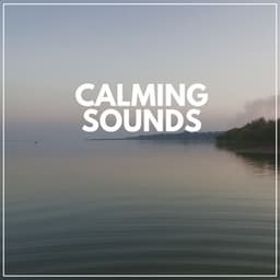 Calming Sounds - Meditation Zen