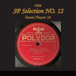 NKB SP Selection No. 12, Great Player 10 - Szymon Goldberg