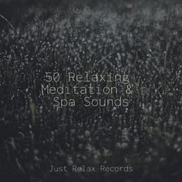 50 Relaxing Meditation & Spa Sounds - Schlaflieder Für Kinder