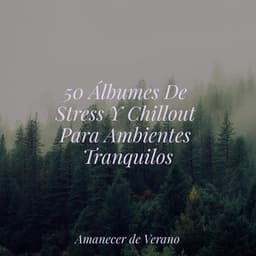 50 Álbumes De Stress Y Chillout Para Ambientes Tranquilos - Meditation Spa